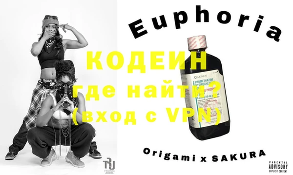 ГАЛЛЮЦИНОГЕННЫЕ ГРИБЫ Вяземский