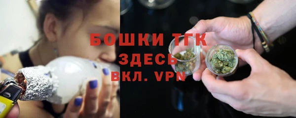 ГАЛЛЮЦИНОГЕННЫЕ ГРИБЫ Вяземский