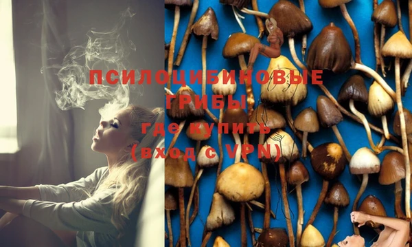 соль курить ск Вязьма