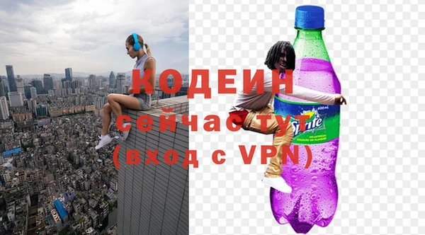 ГАЛЛЮЦИНОГЕННЫЕ ГРИБЫ Вяземский