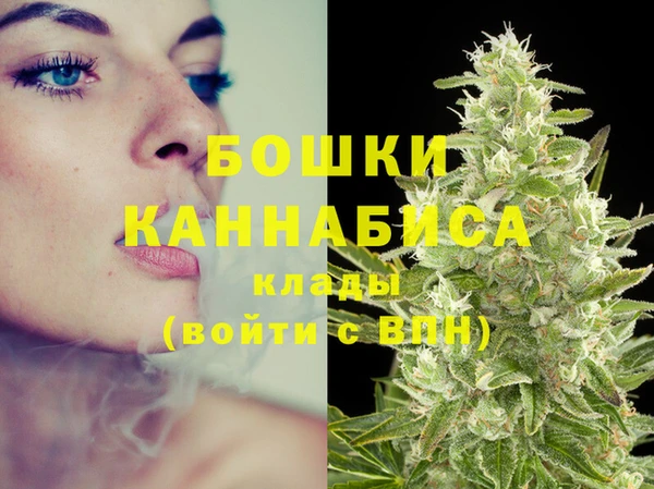 ГАЛЛЮЦИНОГЕННЫЕ ГРИБЫ Вяземский