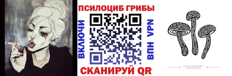 Купить закладки  Нижние Серги  Галлюциногенные грибы прущие грибы 